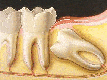 oral surgery image